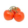 Cà chua giống Hà Lan hữu cơ